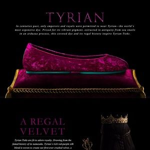 GORGEOUS NIB Limited edition Tyrian Tieks